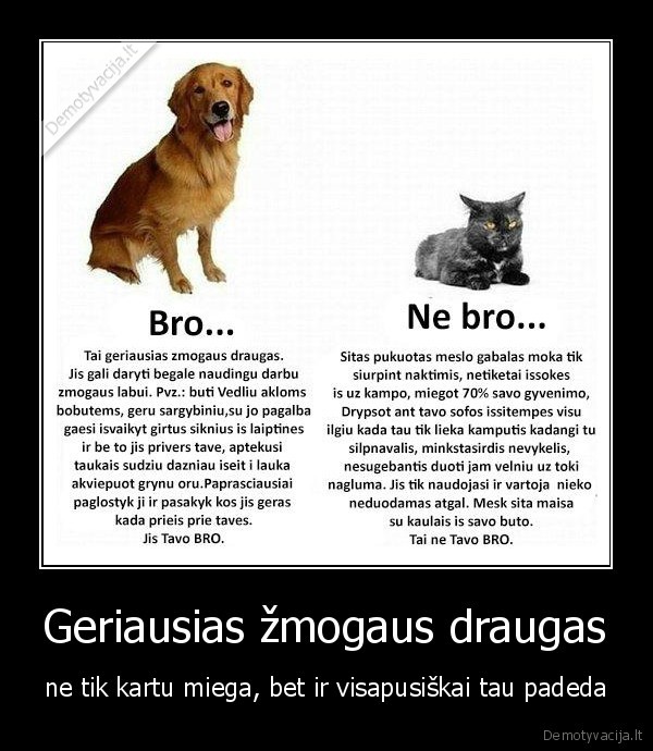 Geriausias žmogaus draugas