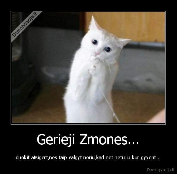 gerumas,ismalda,praso,maldauja,katinas,ismalda,gyvenimas