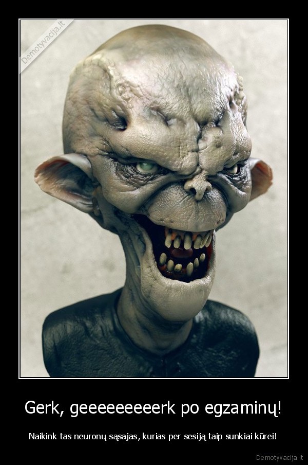 Gerk, geeeeeeeeerk po egzaminų!