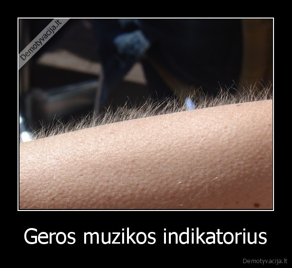 Geros muzikos indikatorius