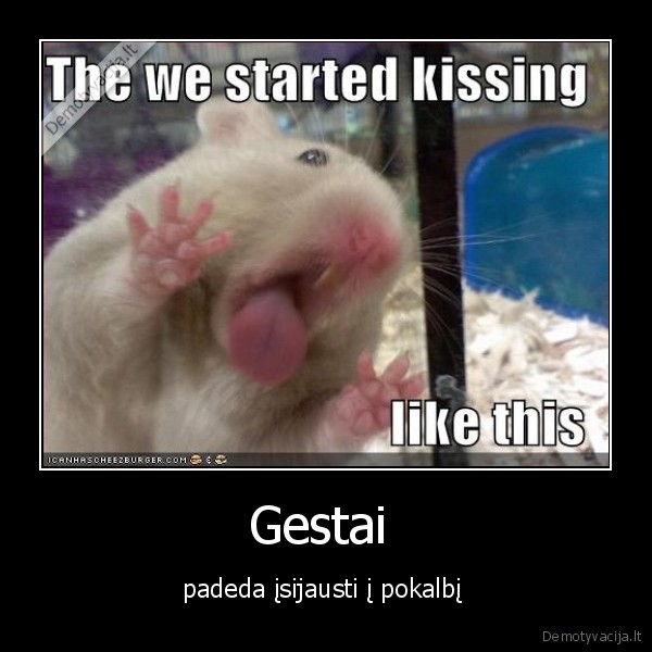 horny, basterd, hamster