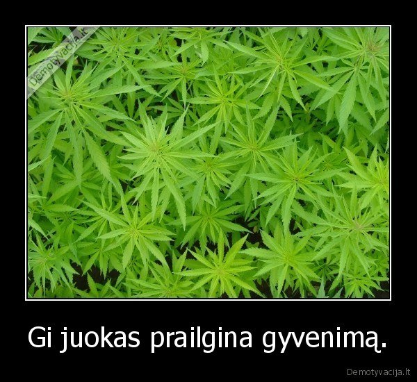 juokas,kanapes,juoktis