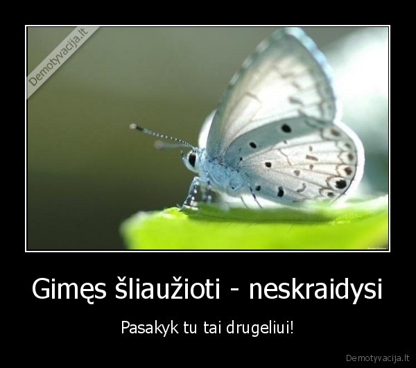 sliuzas,patarle,drugelis,skraidymas