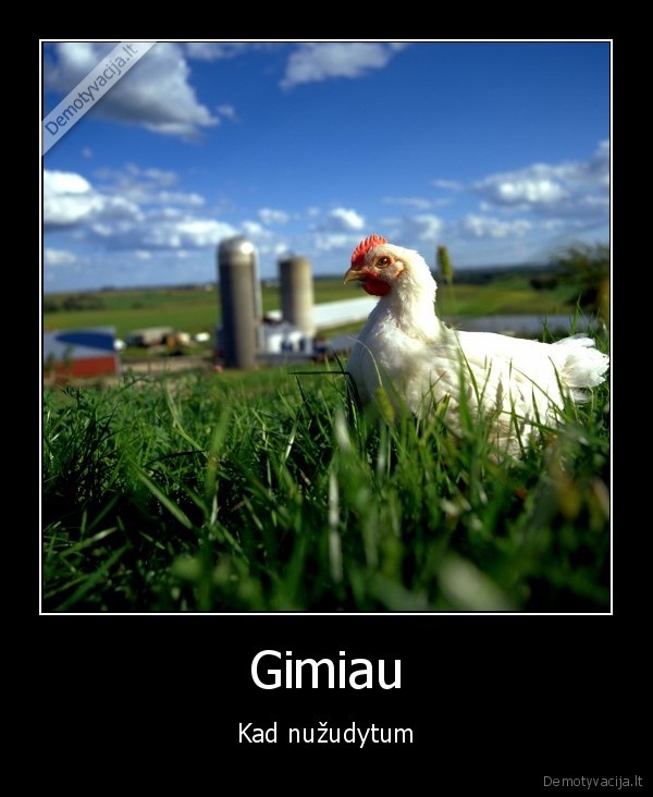 jei,pridege,vista,pades,valdorfo