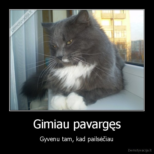Gimiau pavargęs