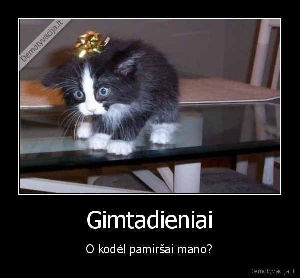 dovana,kate,katinas,dovanos, gimtadienis