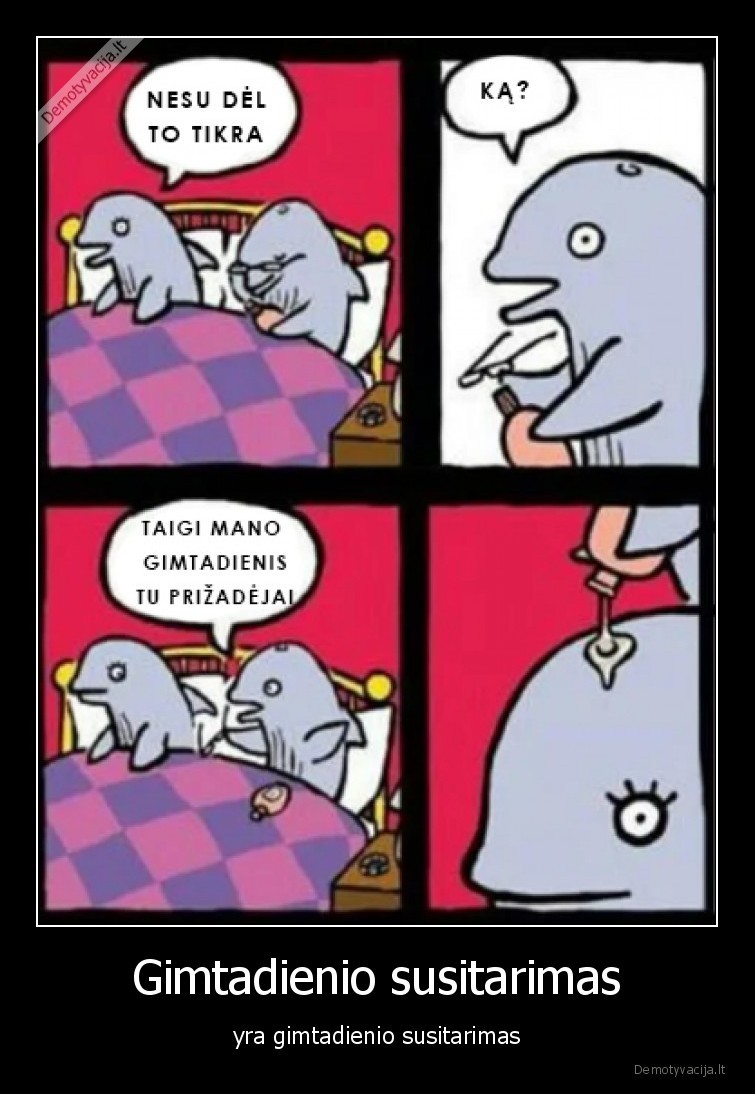 delfinai,gimtadienis,analinis