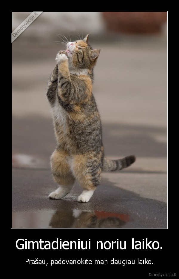 Gimtadieniui noriu laiko.