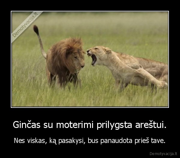 Ginčas su moterimi prilygsta areštui.