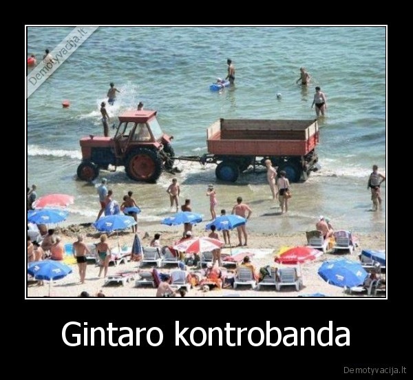 Gintaro kontrobanda