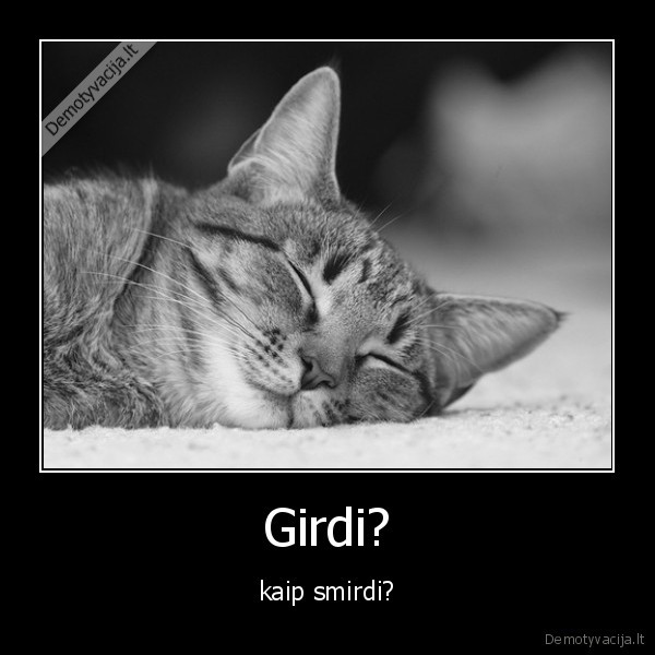 Girdi?