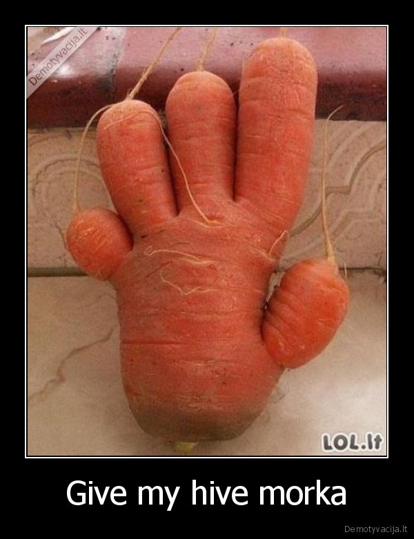 Give my hive morka