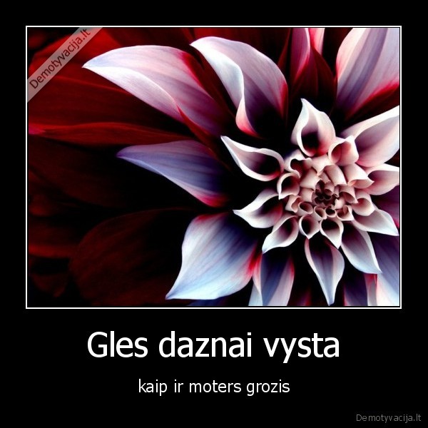 Gles daznai vysta