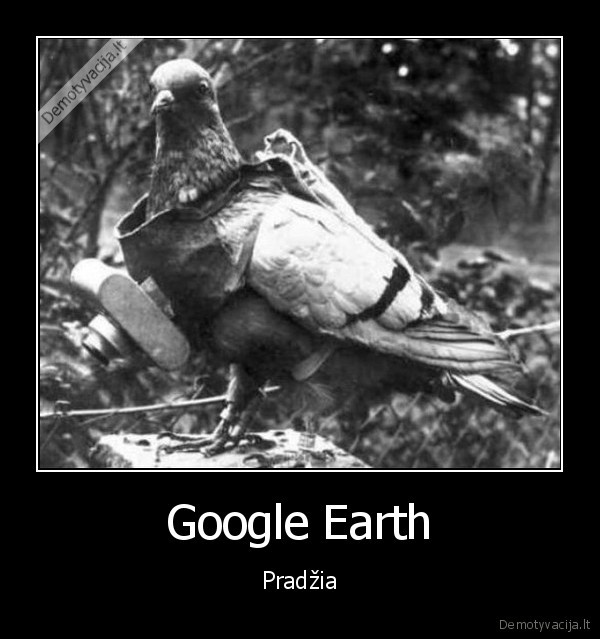 Google Earth