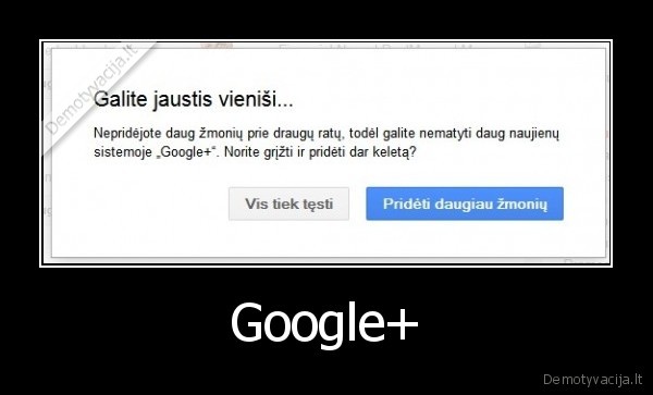 google,viska,zino,apie,tave