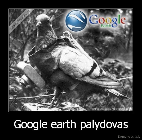Google earth palydovas