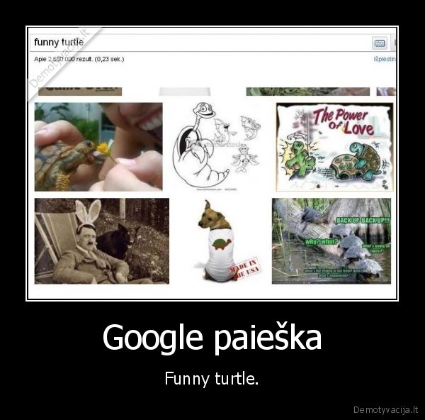 hitler, google, search, paieska, vezlys, turtoise