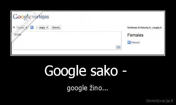 google,translator