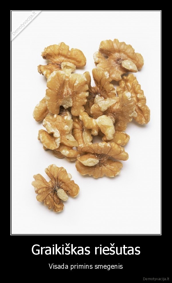 graikiskas, riesutas,smegenys