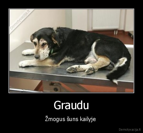 Graudu
