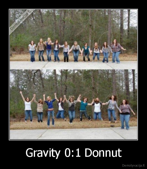 Gravity 0:1 Donnut