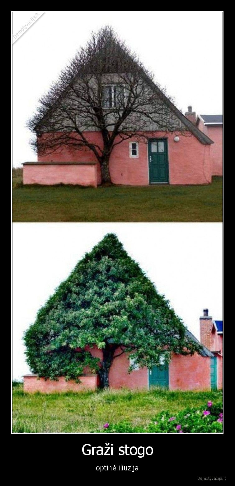 namas,stogas,optine,iliuzija,apgaule,medis,zaluma,lapai