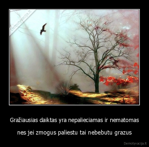 zmogus, griauna, viska, kas, yra, grazu