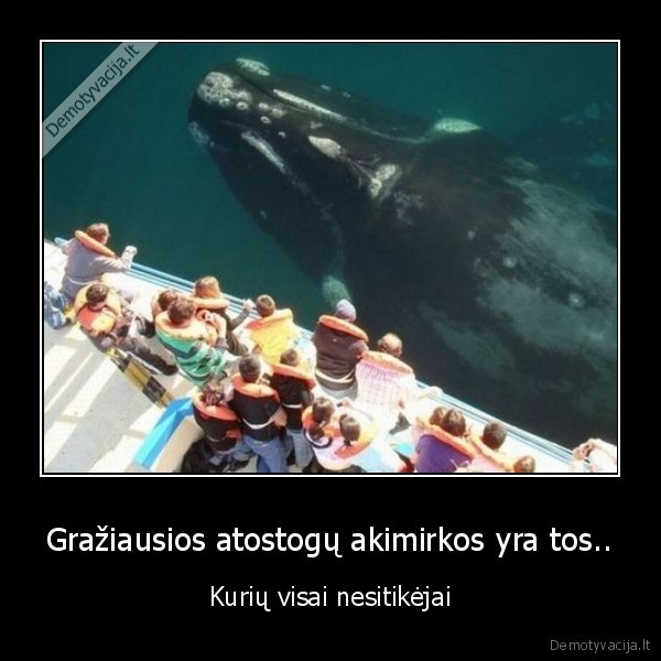 Gražiausios atostogų akimirkos yra tos..