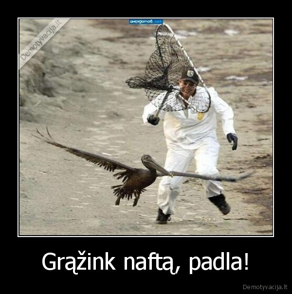 Grąžink naftą, padla!