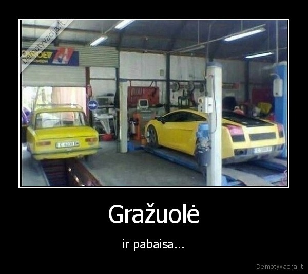 grazuole,pabaisa,zygulis,lamorgini