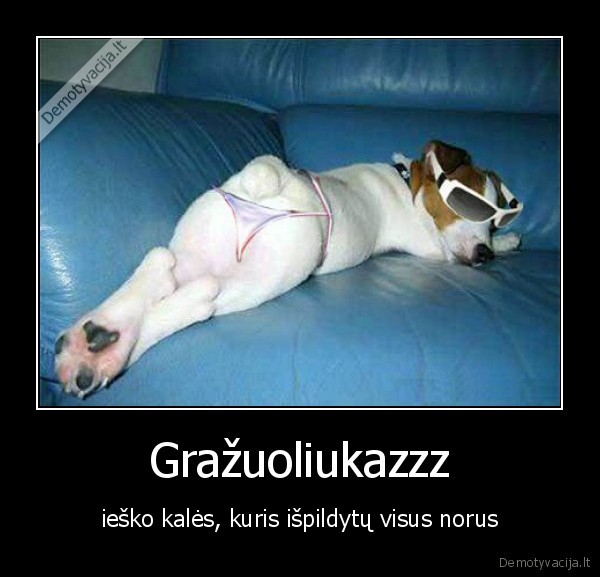 sunys,one.lt,gyvunai