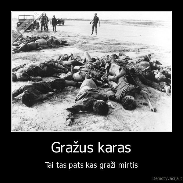Gražus karas