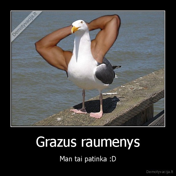 Grazus raumenys