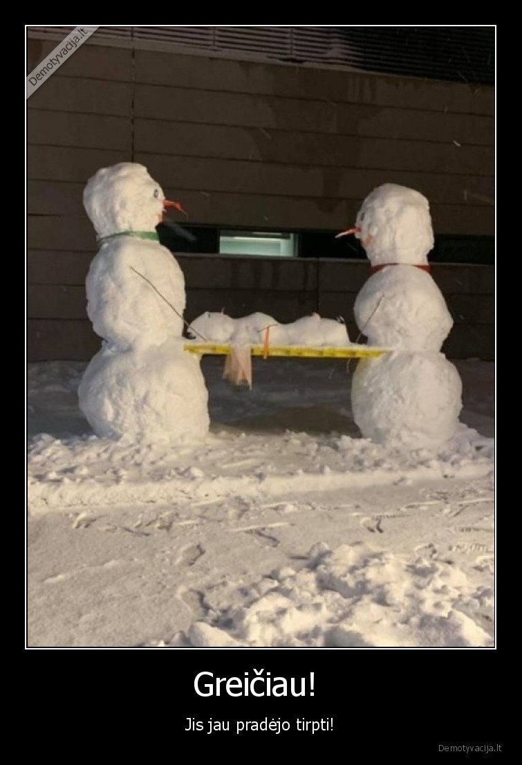 ziema,besmegeniai,tirpsta