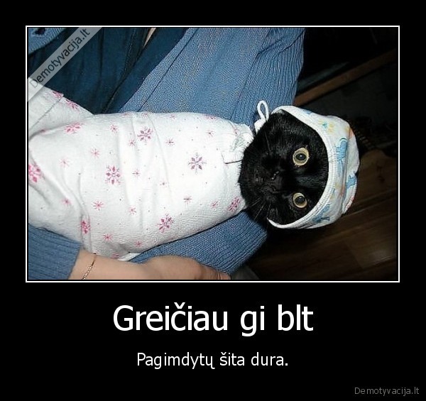 katinas,vaikas,zaislas