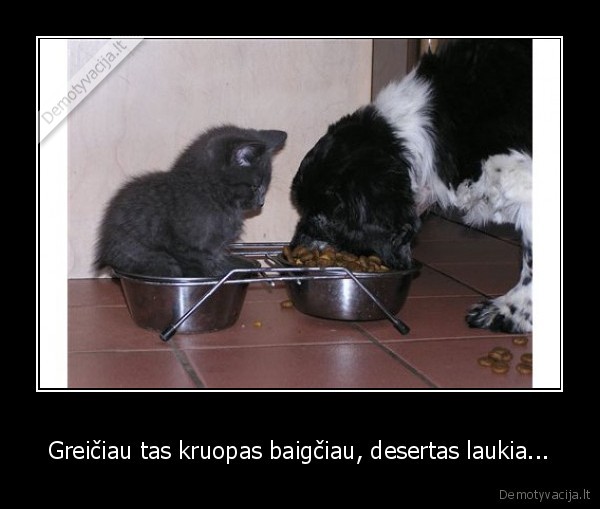 Greičiau tas kruopas baigčiau, desertas laukia...