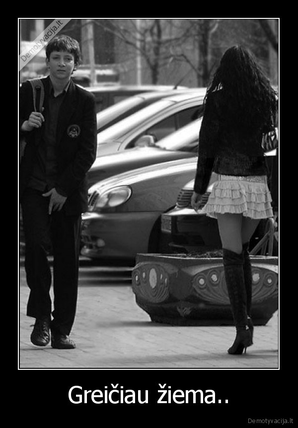 stovi,krutine,kokosai,subiniukas,pyzdec