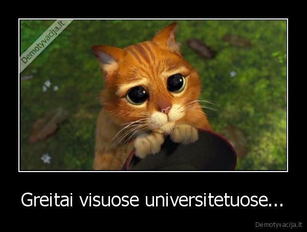 Greitai visuose universitetuose...