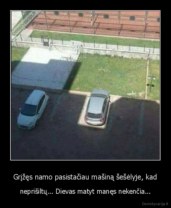 masina, seselyje,auto