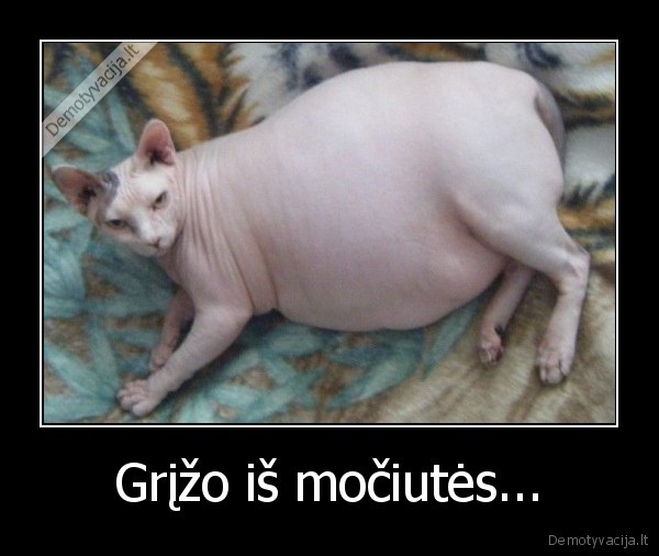 sventes, ir, jos, malonumai