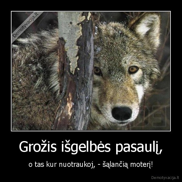 lapinas,kailiniai,isgelbeti,pasaulis,salanti,moteris,nuotrauka