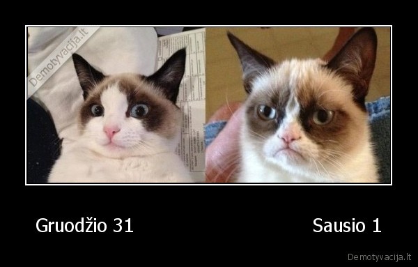 gruodis,sausis