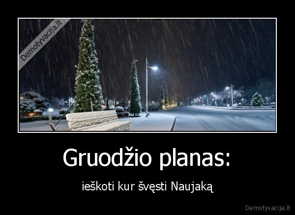 planas,gruodis,naujieji, metai