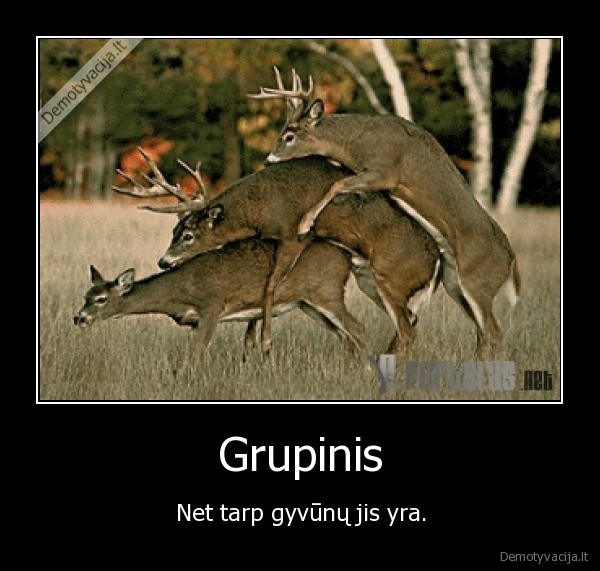 Grupinis