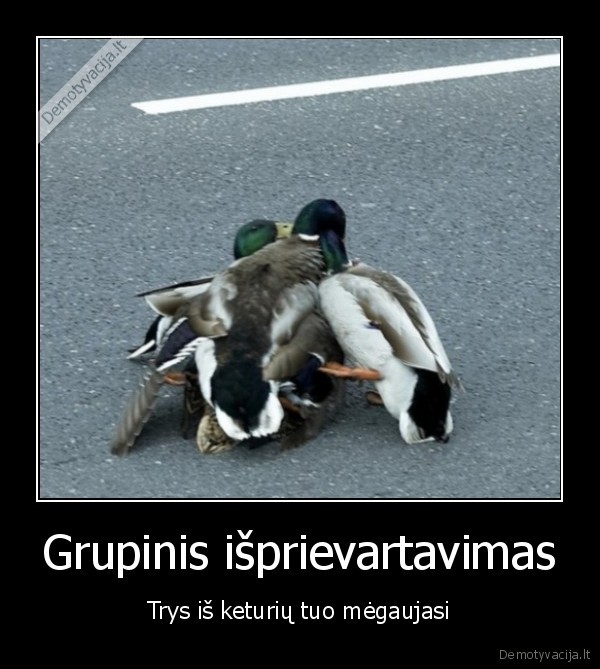 seksas,grupe,antis,gatve,pavojus