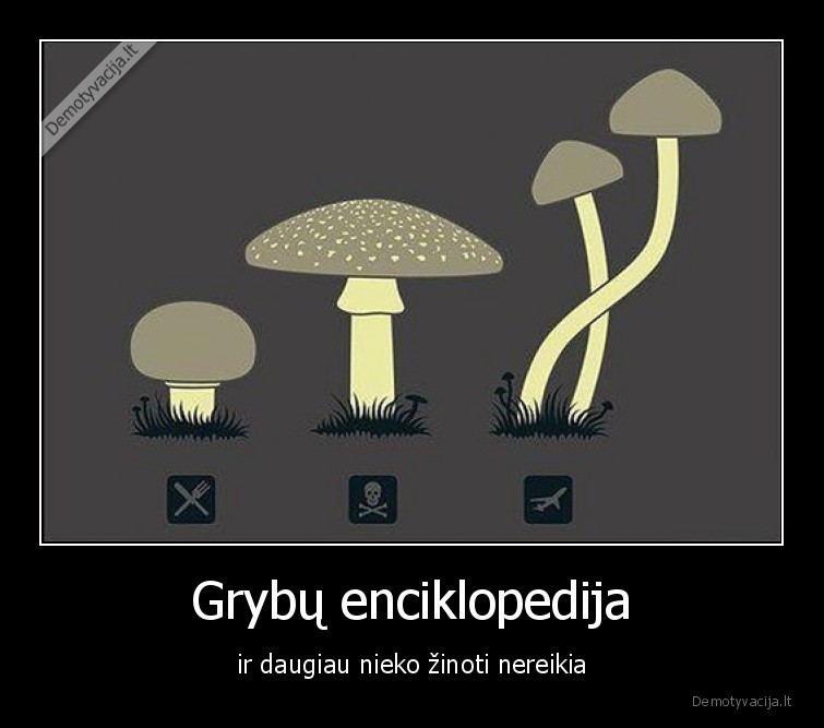 grybai,enciklopedija,kokie,geri