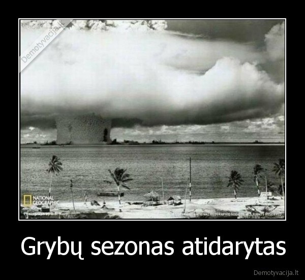 Grybų sezonas atidarytas