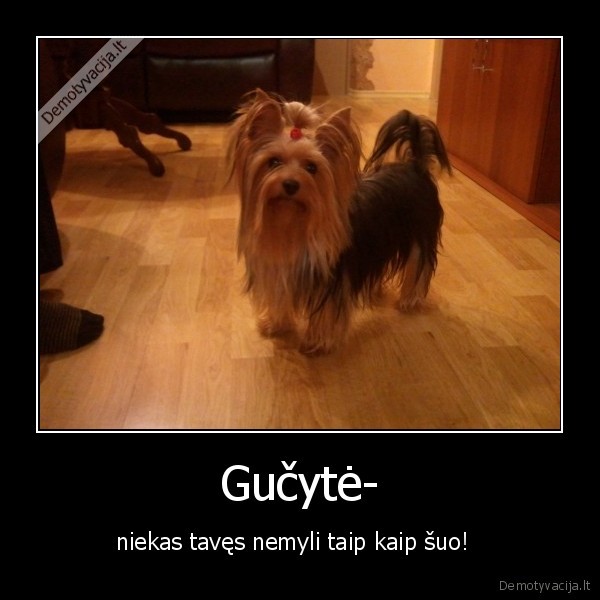 Gučytė-