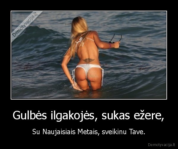 nauji, metai,uzpakaliukas