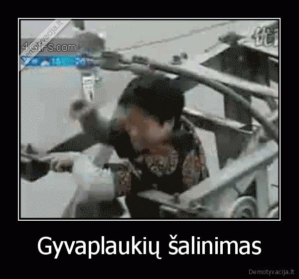 Gyvaplaukių šalinimas